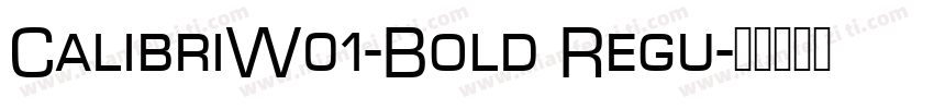 CalibriW01-Bold Regu字体转换